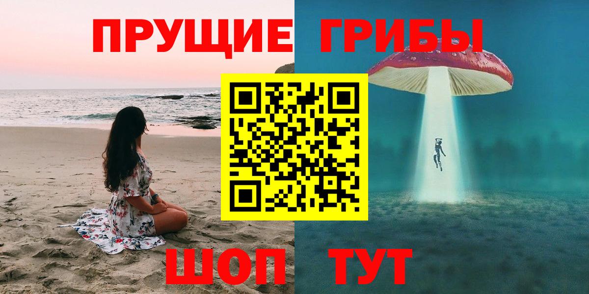 Карпинск  Галлюциногенные грибы прущие грибы  Вход с VPN 